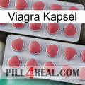 Viagra Capsule 19